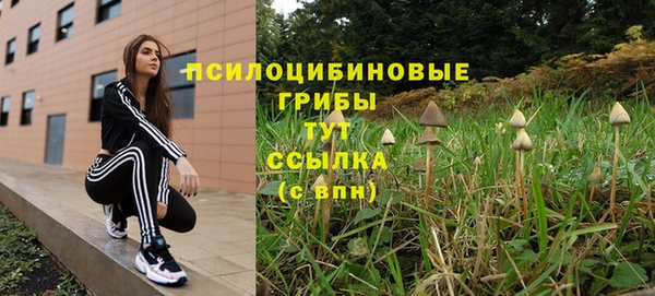 стаф Аркадак