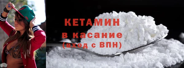 стаф Аркадак