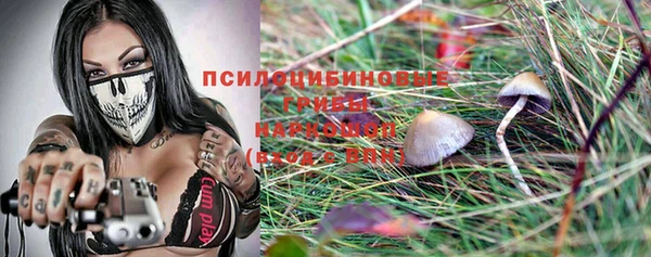 стаф Аркадак