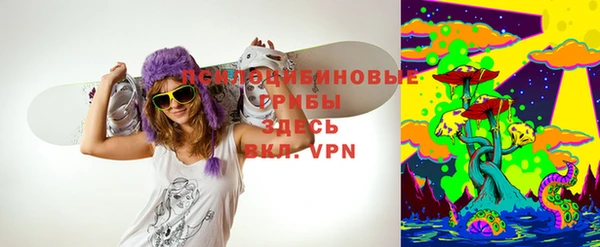 спайс Алексин