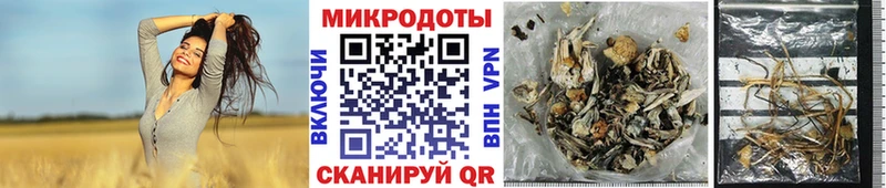 Псилоцибиновые грибы прущие грибы  купить наркотики цена  Таруса 